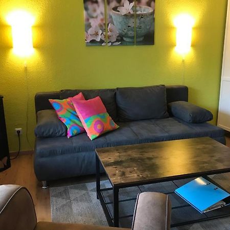 Ferienwohnung Zeitlos, gigantischer Seeblick, WLAN, Kamin, gerne mit Hund Winterberg Exterior foto
