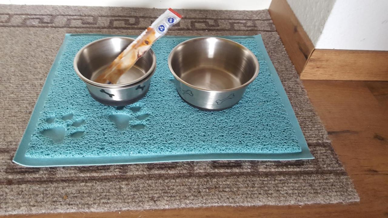 Ferienwohnung Zeitlos, gigantischer Seeblick, WLAN, Kamin, gerne mit Hund Winterberg Exterior foto
