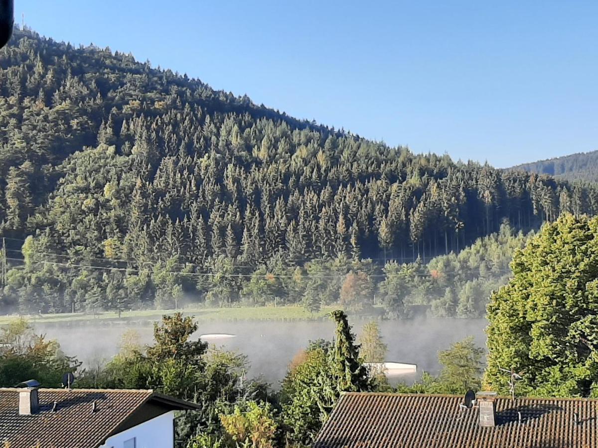 Ferienwohnung Zeitlos, gigantischer Seeblick, WLAN, Kamin, gerne mit Hund Winterberg Exterior foto